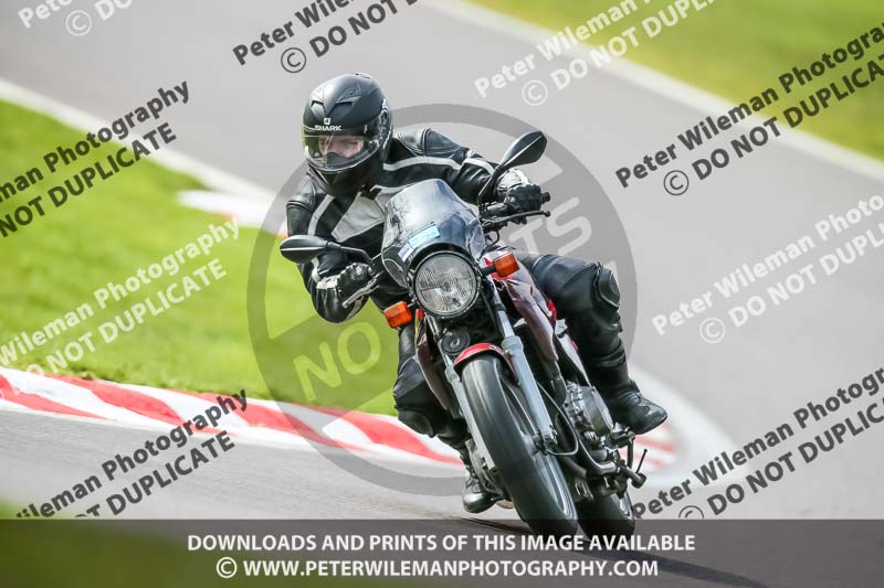 Oulton Park 21st March 2020;PJ Motorsport Photography 2020;anglesey;brands hatch;cadwell park;croft;donington park;enduro digital images;event digital images;eventdigitalimages;mallory;no limits;oulton park;peter wileman photography;racing digital images;silverstone;snetterton;trackday digital images;trackday photos;vmcc banbury run;welsh 2 day enduro